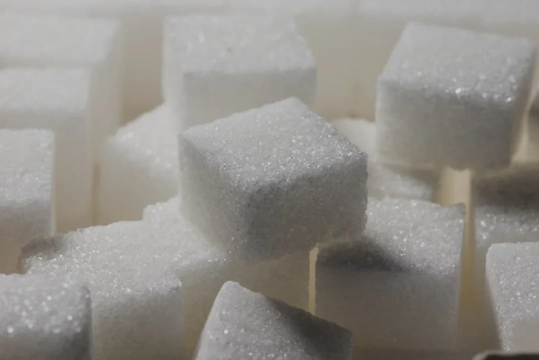 25 g or 50 g of Sugar: Why the WHO Says Both