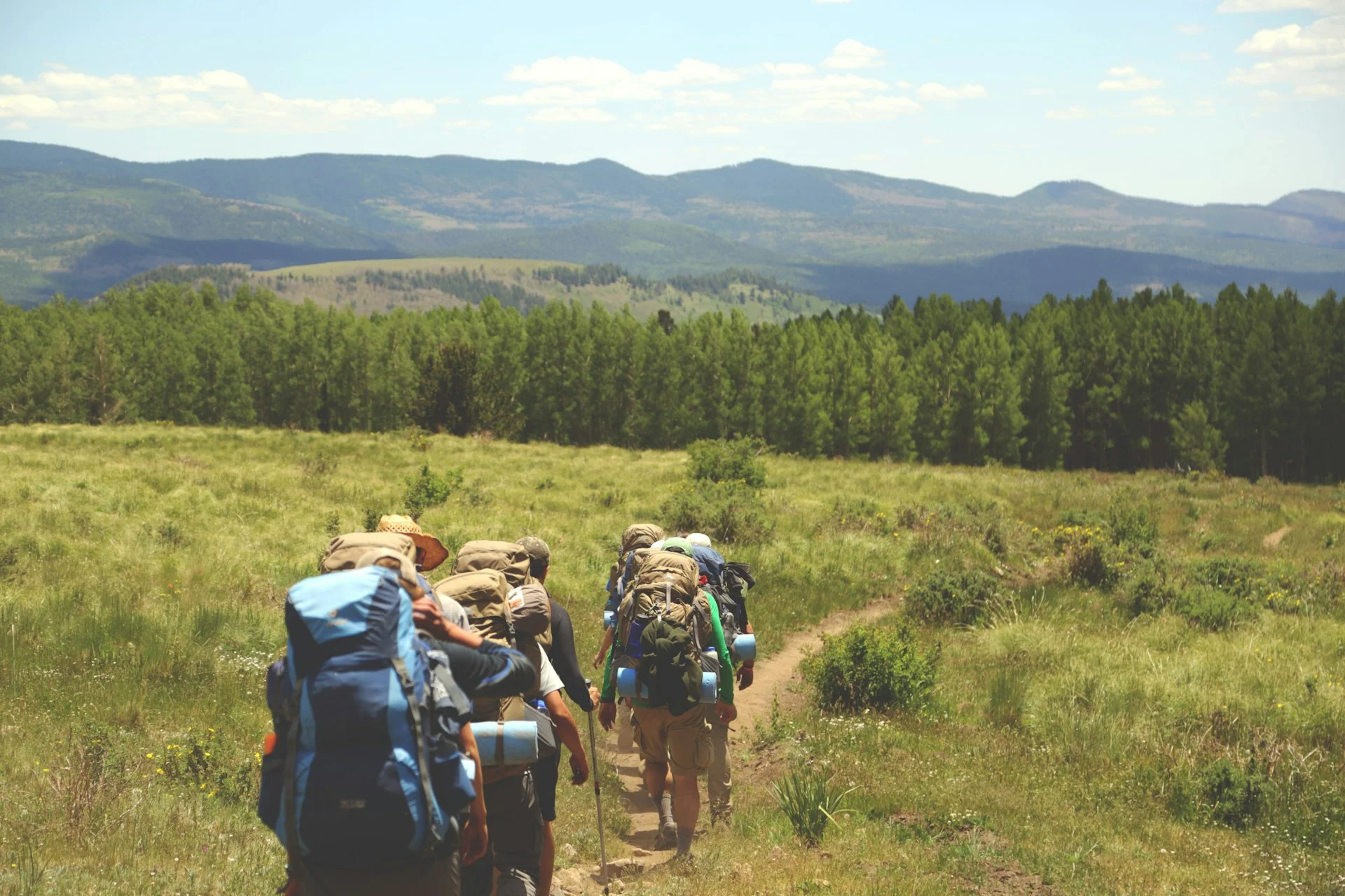 Group of people walking and exercising together on the weekend