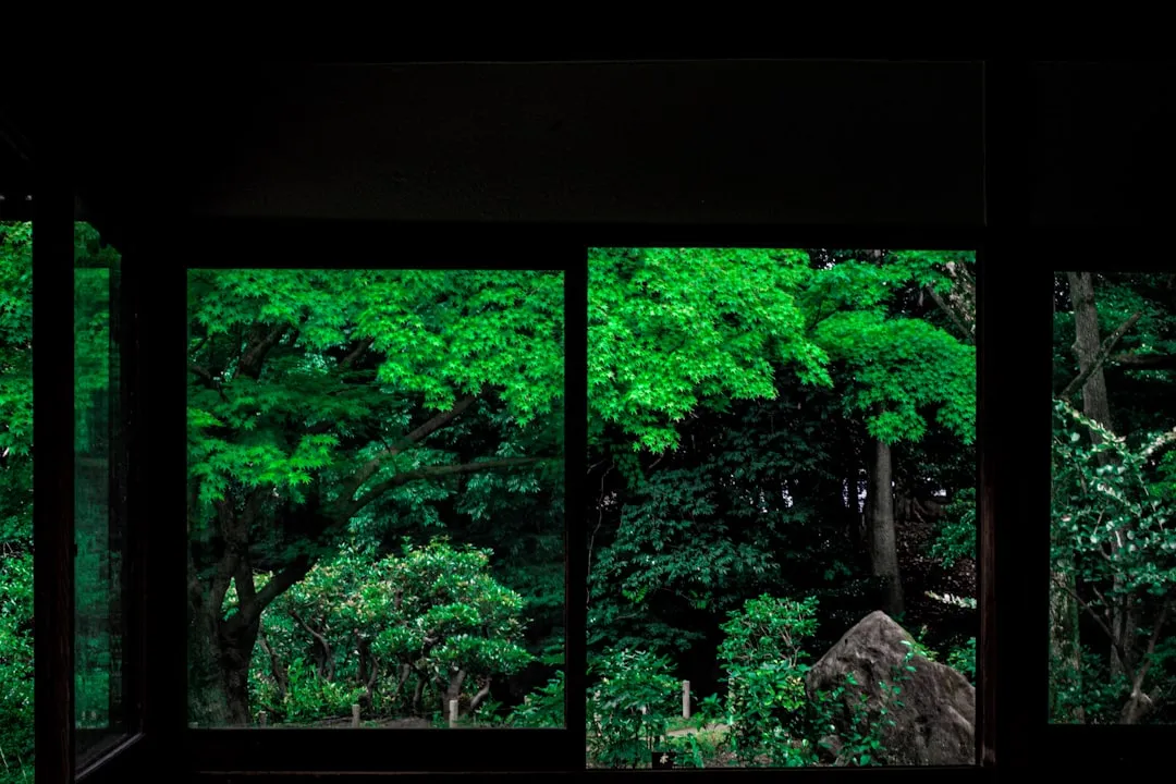 Vue sur la nature depuis une fenêtre, récupération visuelle