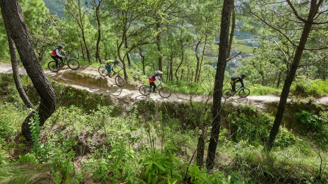 Cyclistes en endurance sur un sentier forestier, entraînement d'endurance en nature